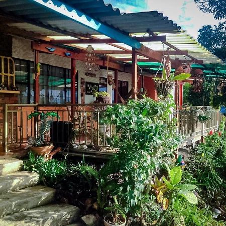 Vila Casa Finca El Girasol Guayabal de Síquima Exteriér fotografie