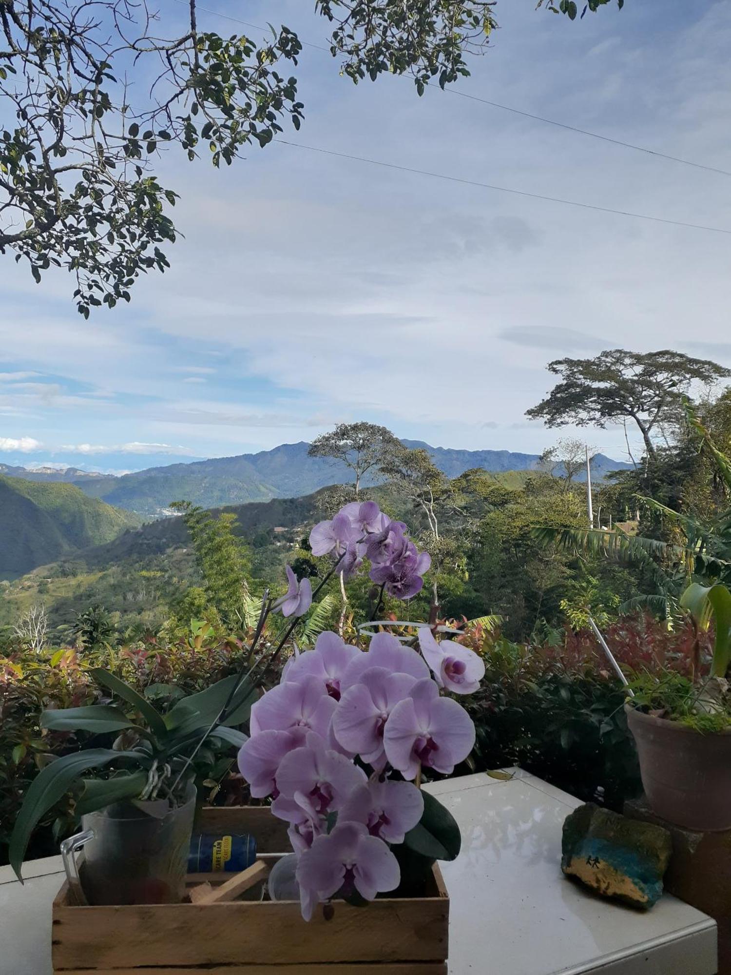 Vila Casa Finca El Girasol Guayabal de Síquima Exteriér fotografie