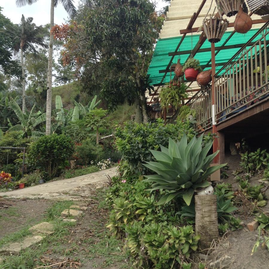 Vila Casa Finca El Girasol Guayabal de Síquima Exteriér fotografie