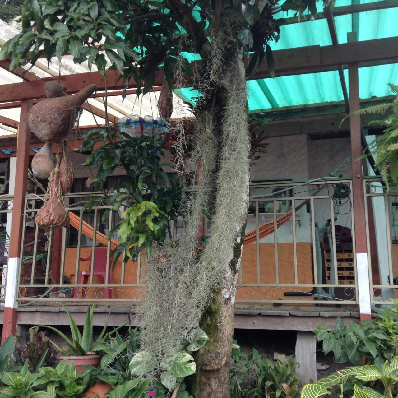 Vila Casa Finca El Girasol Guayabal de Síquima Exteriér fotografie