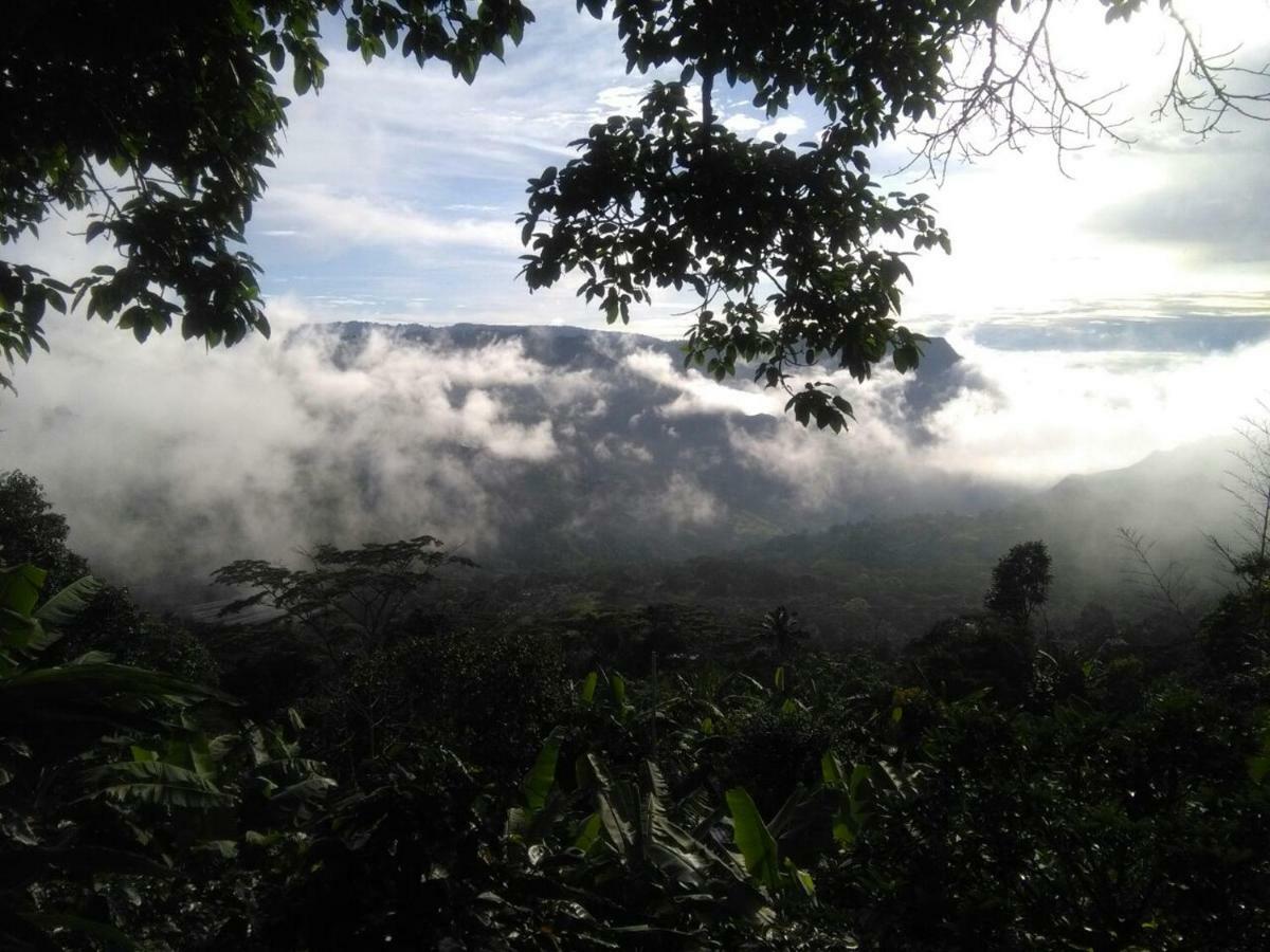 Vila Casa Finca El Girasol Guayabal de Síquima Exteriér fotografie